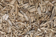 biomass boilers Faughill